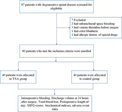 Impact of the Tranexamic Acid on Bleeding Amount of Surgical Patient With Degenerative Spinal Disease: A Randomized Blinded Study